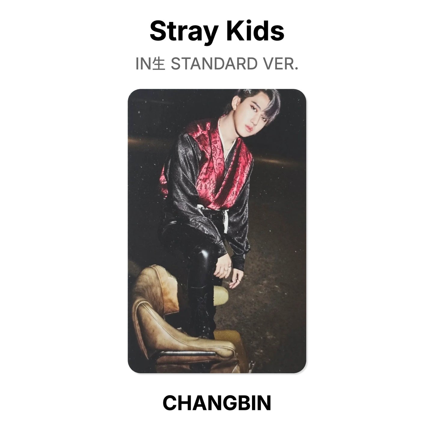 Stray Kids IN生 STANDARD VER. Official Photocard