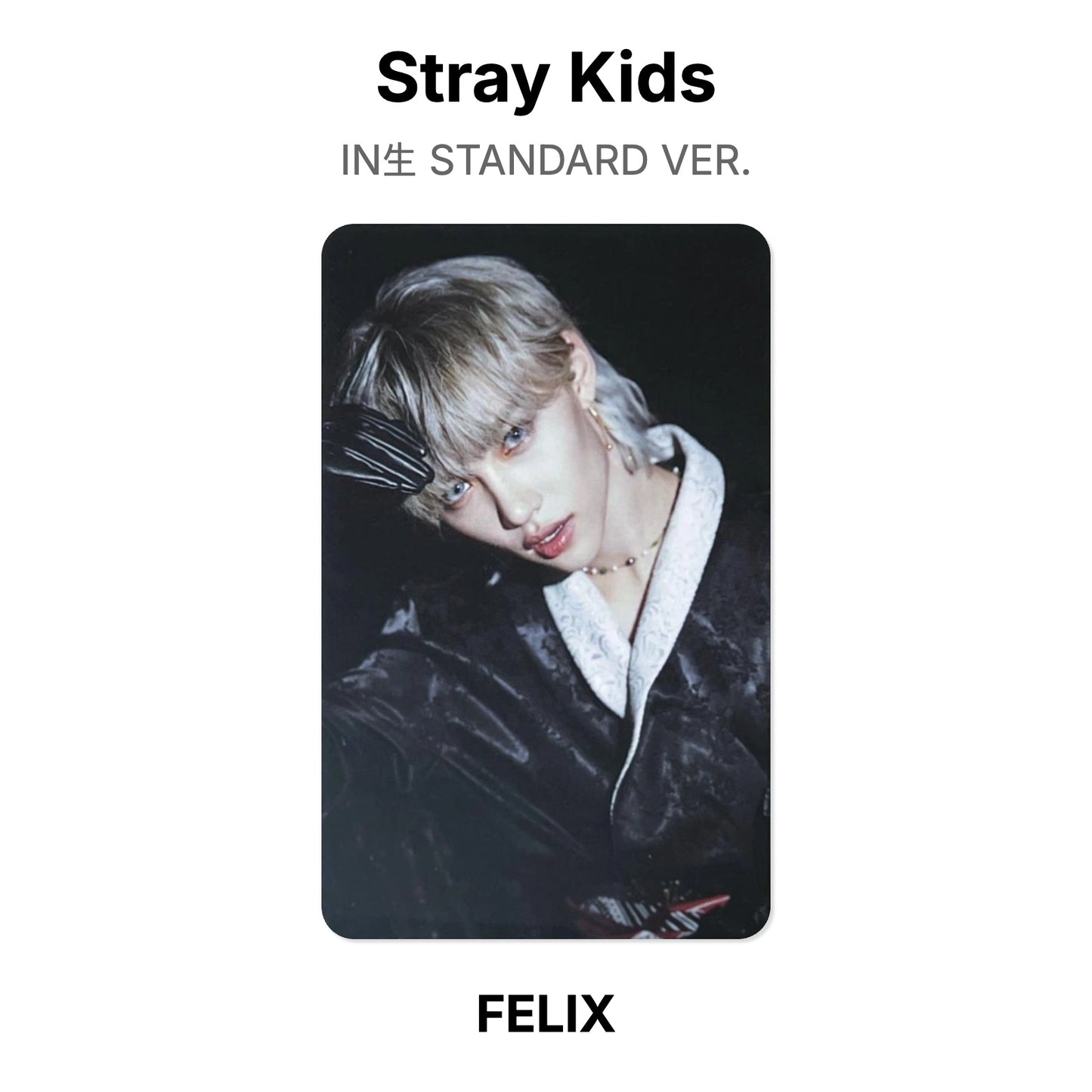 Stray Kids IN生 STANDARD VER. Official Photocard