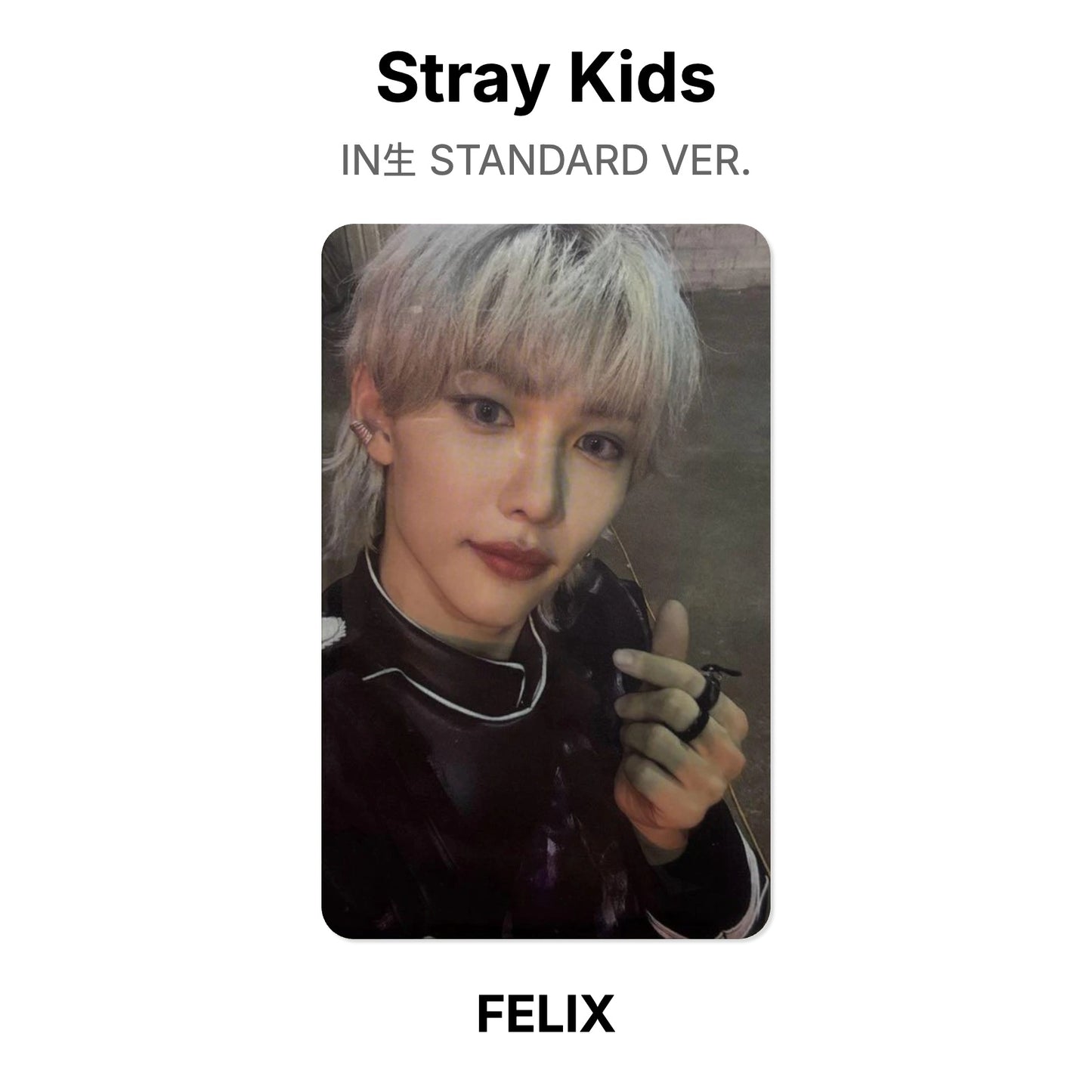 Stray Kids IN生 STANDARD VER. Official Photocard