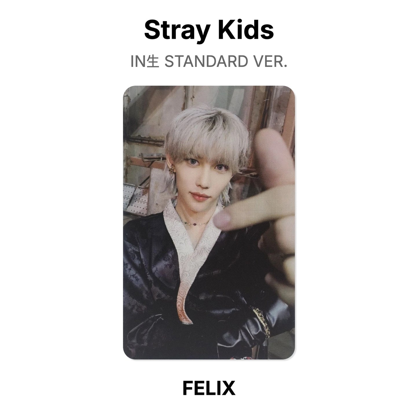 Stray Kids IN生 STANDARD VER. Official Photocard