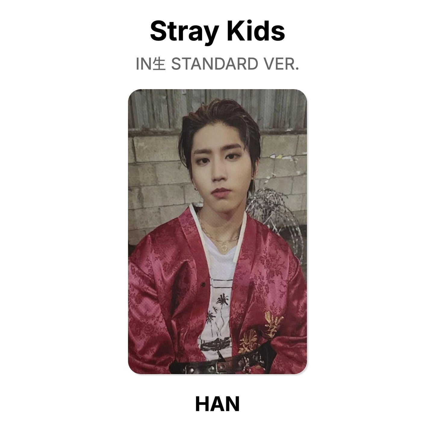 Stray Kids IN生 STANDARD VER. Official Photocard