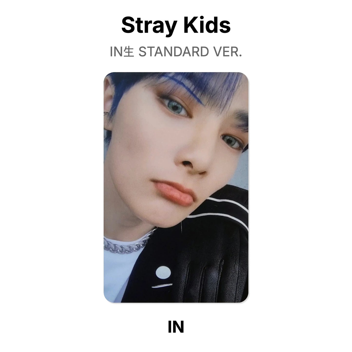 Stray Kids IN生 STANDARD VER. Official Photocard