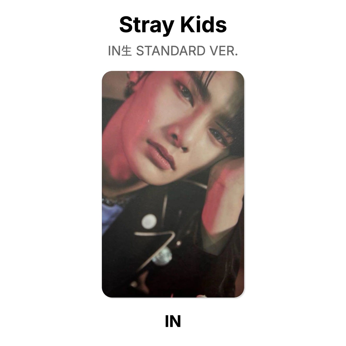 Stray Kids IN生 STANDARD VER. Official Photocard