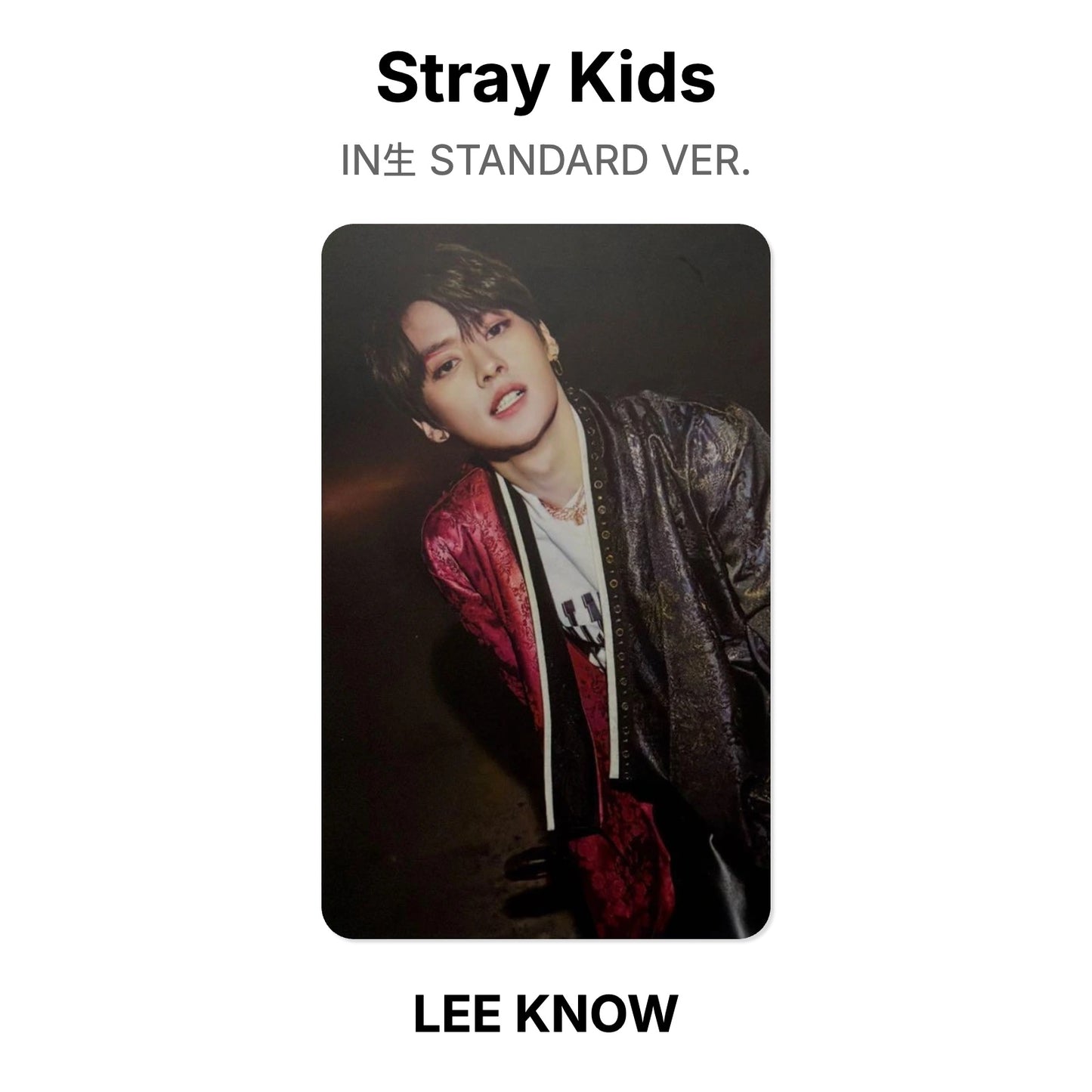 Stray Kids IN生 STANDARD VER. Official Photocard