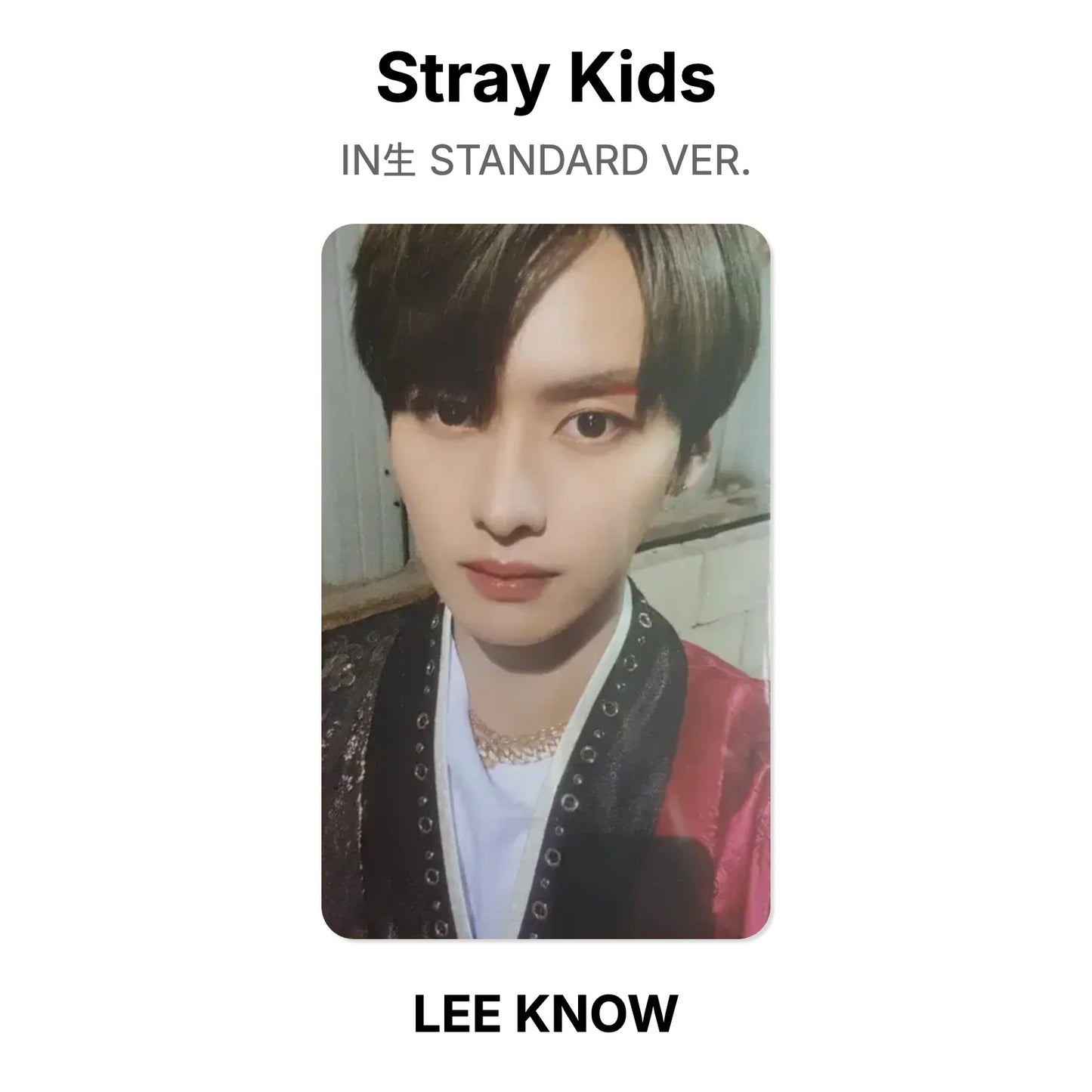 Stray Kids IN生 STANDARD VER. Official Photocard