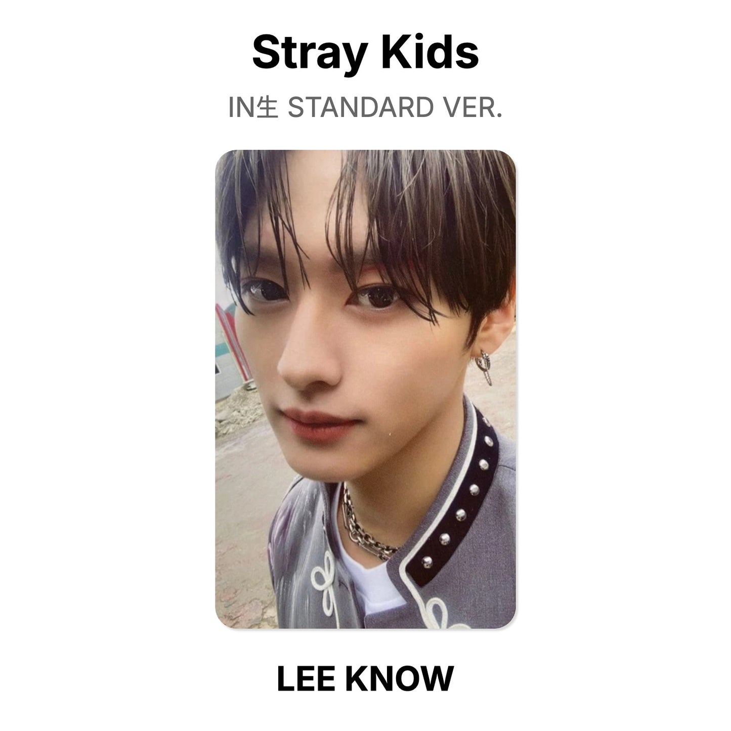 Stray Kids IN生 STANDARD VER. Official Photocard