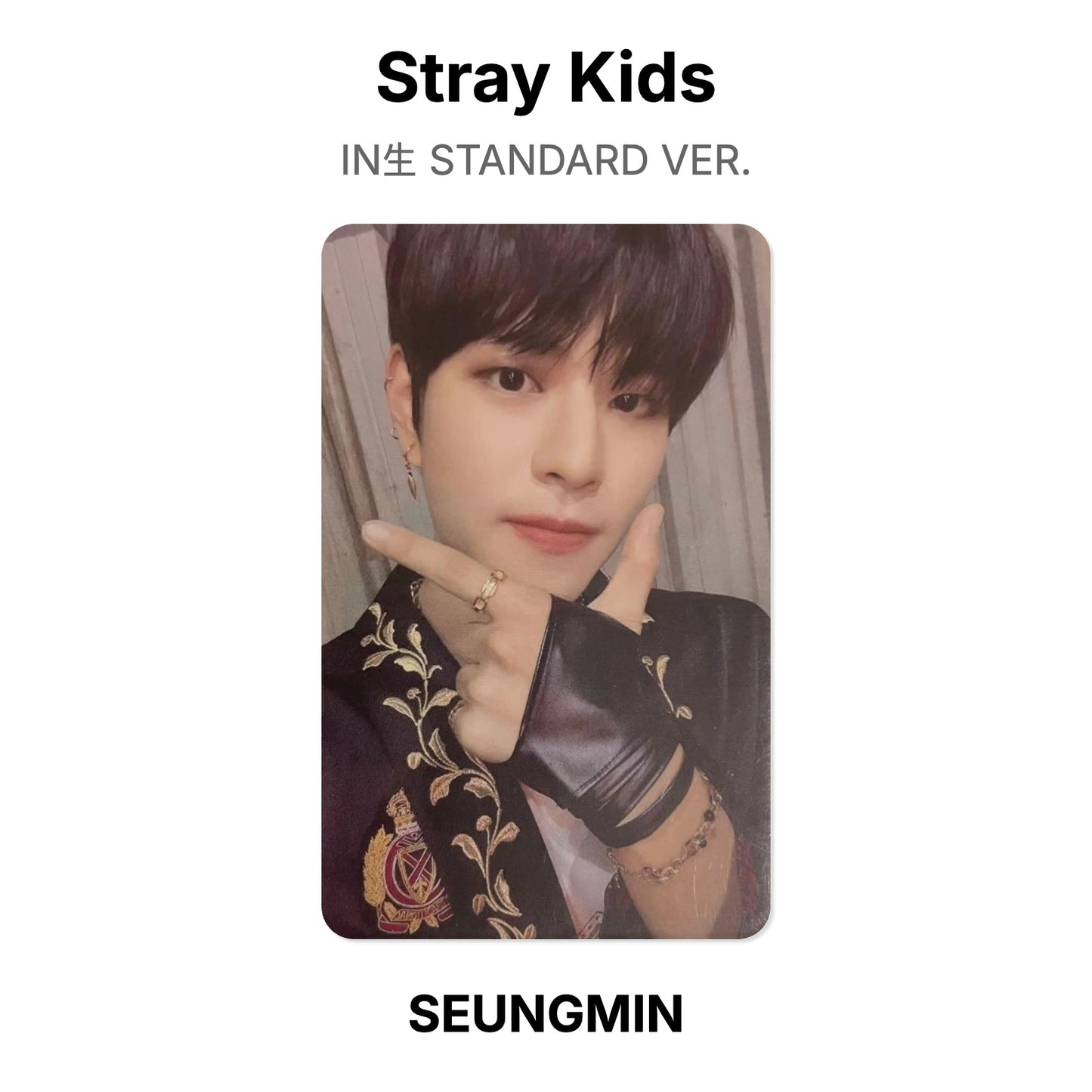 Stray Kids IN生 STANDARD VER. Official Photocard