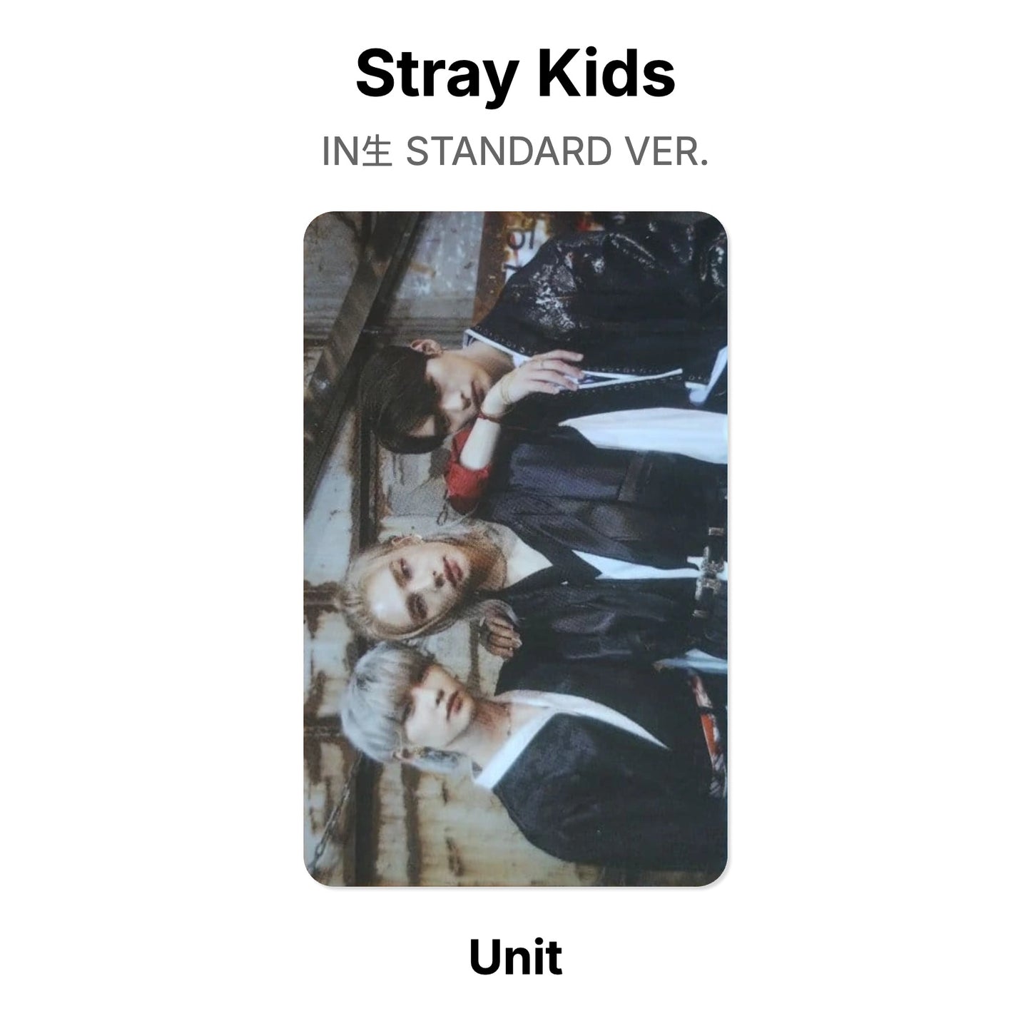 Stray Kids IN生 STANDARD VER. Official Photocard