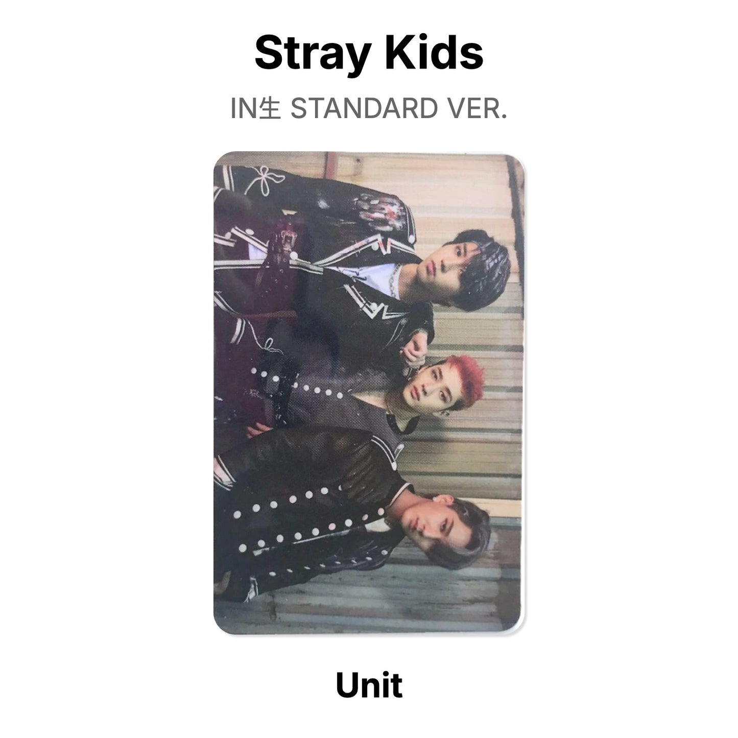 Stray Kids IN生 STANDARD VER. Official Photocard