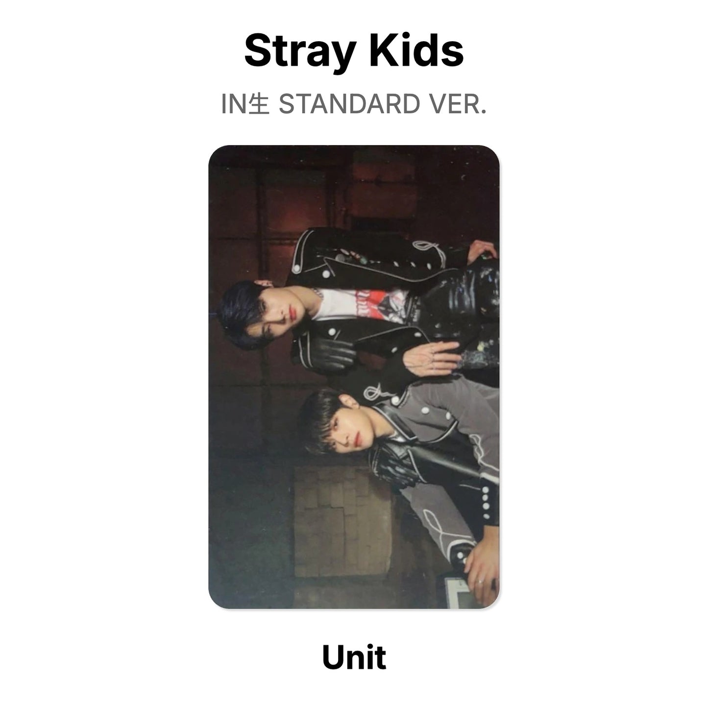 Stray Kids IN生 STANDARD VER. Official Photocard
