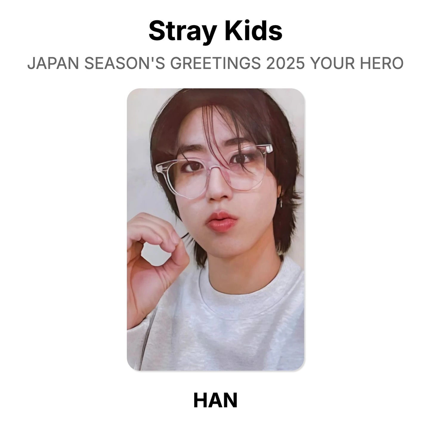 Stray Kids JAPAN SEASON'S GREETINGS 2025 YOUR HERO 公式フォトカード