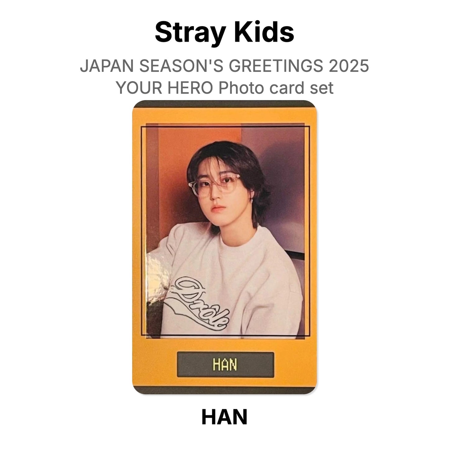 Stray Kids JAPAN SEASON'S GREETINGS 2025 YOUR HERO Photo card set Official Photocard