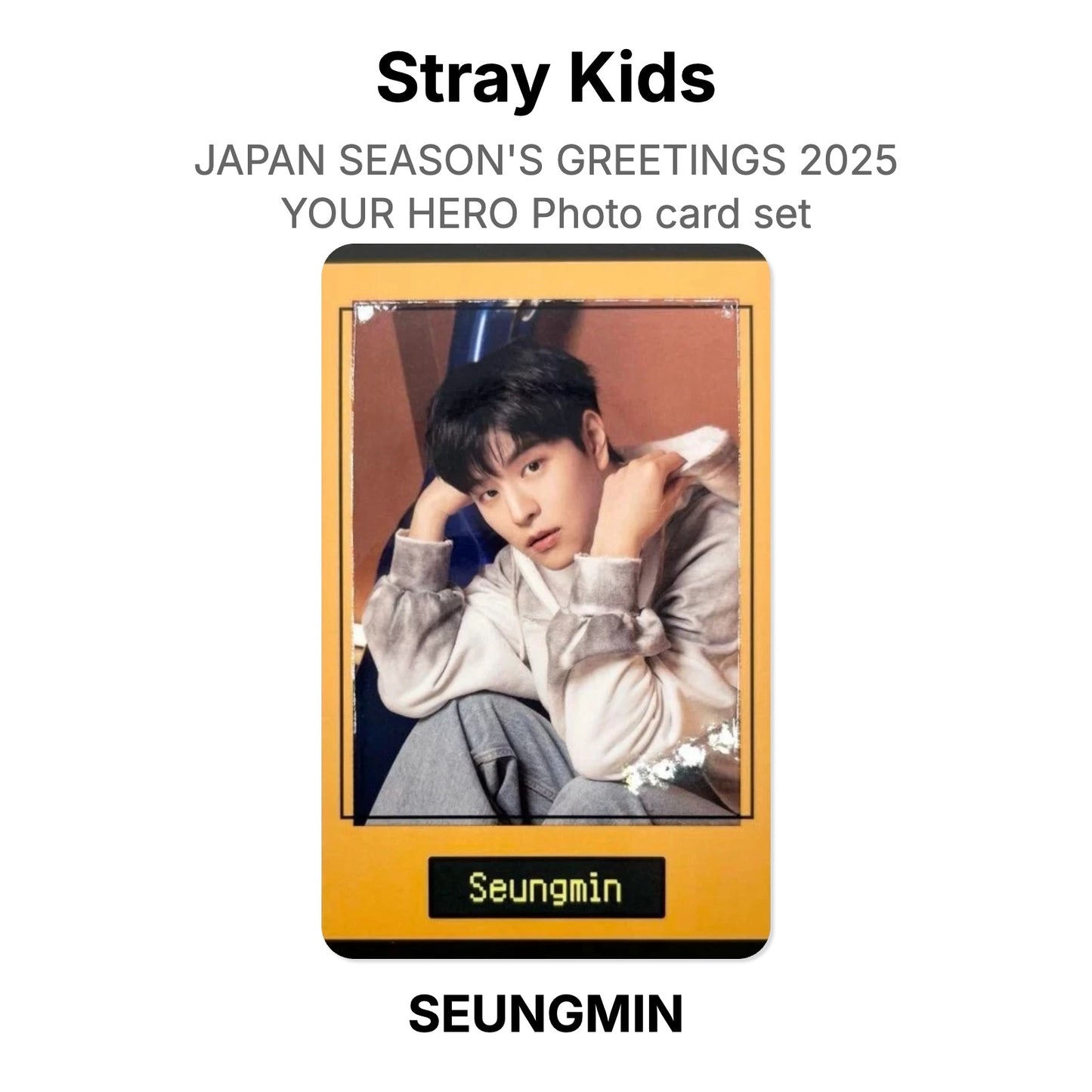 Stray Kids JAPAN SEASON'S GREETINGS 2025 YOUR HERO Photo card set Official Photocard