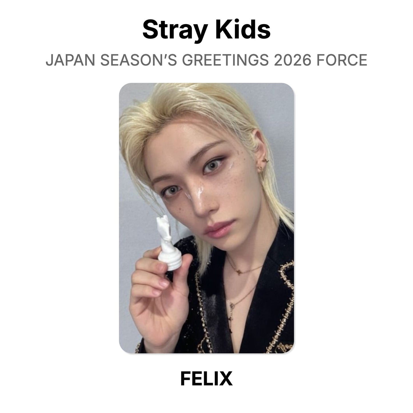 Stray Kids JAPAN SEASON’S GREETINGS 2026 FORCE Official Photocard