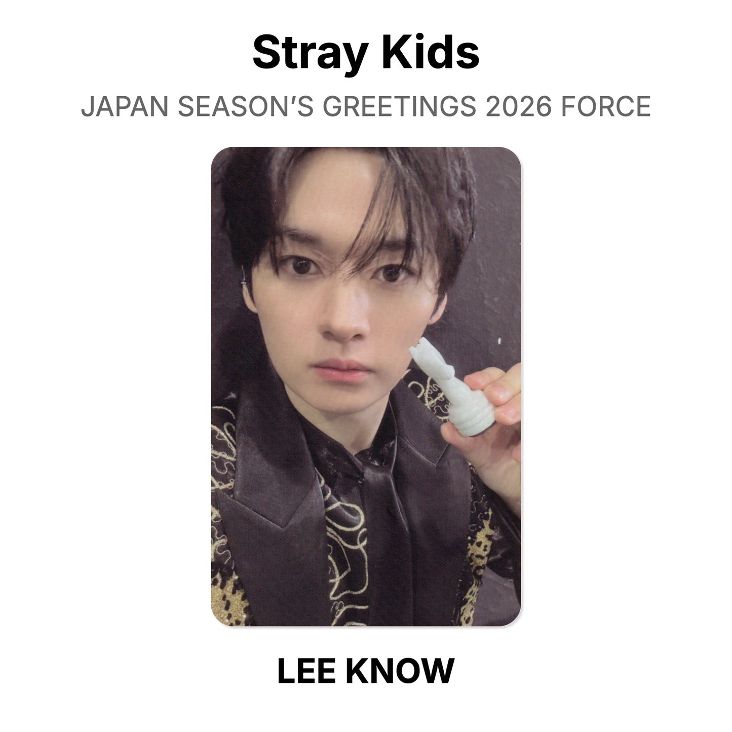 Stray Kids JAPAN SEASON’S GREETINGS 2026 FORCE Official Photocard