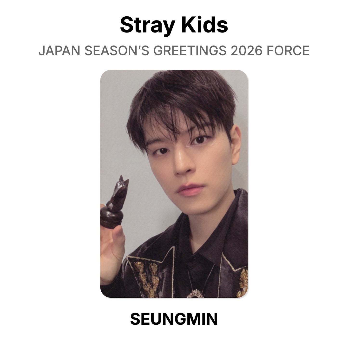 Stray Kids JAPAN SEASON’S GREETINGS 2026 FORCE Official Photocard