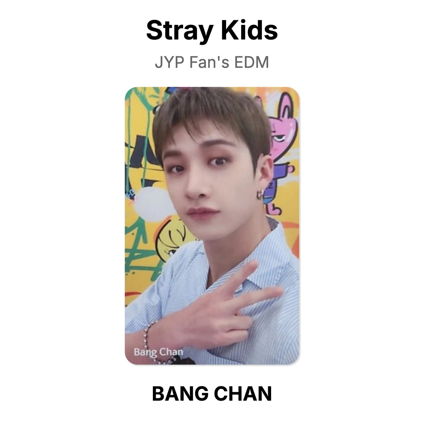 Stray Kids JYP Fan's EDM photocard oficial