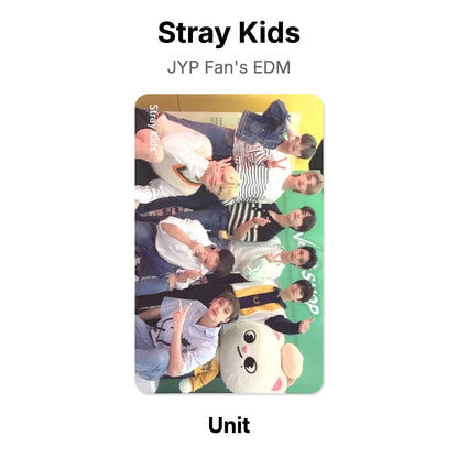 Stray Kids JYP Fan's EDM photocard oficial
