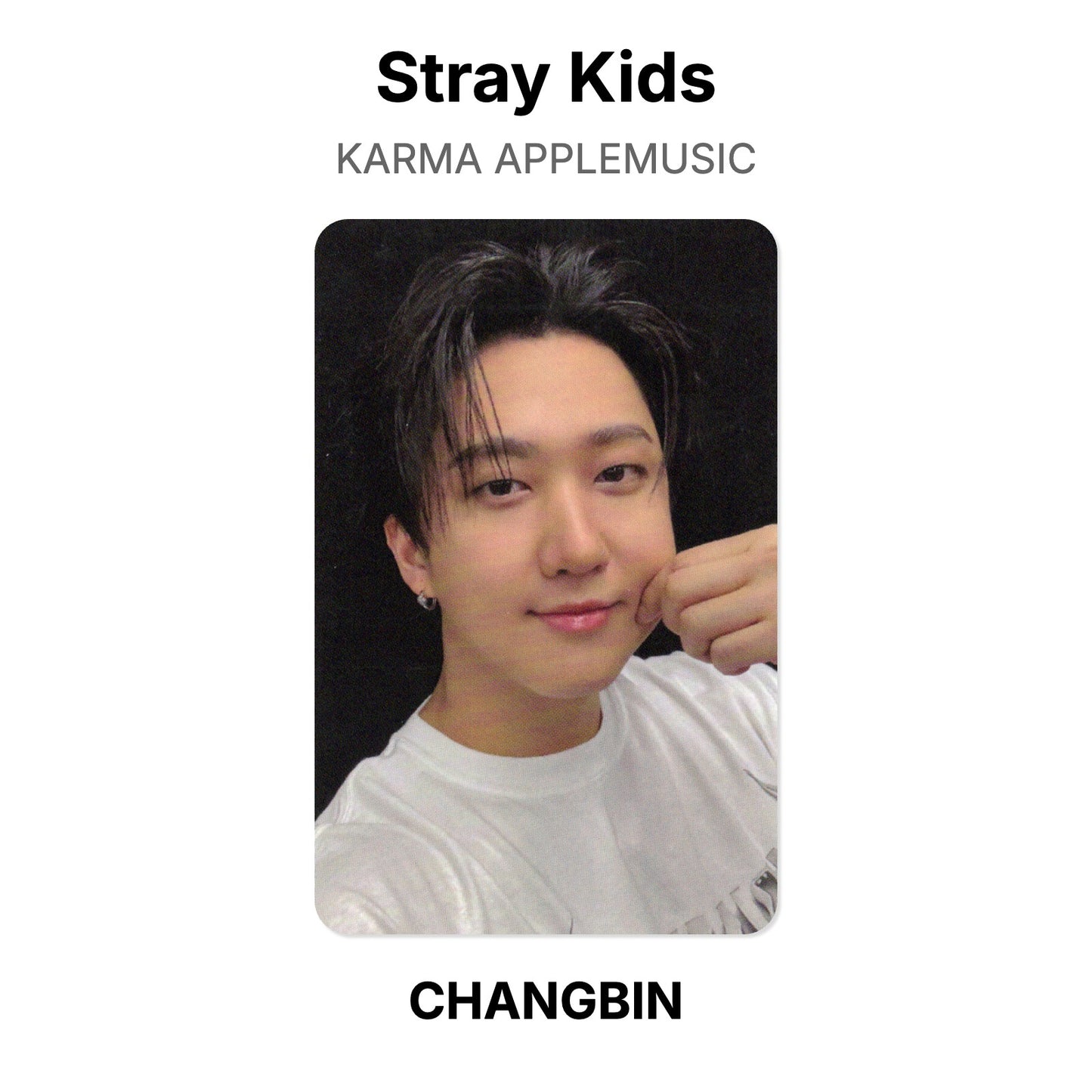 Stray Kids KARMA APPLEMUSIC photocard oficial