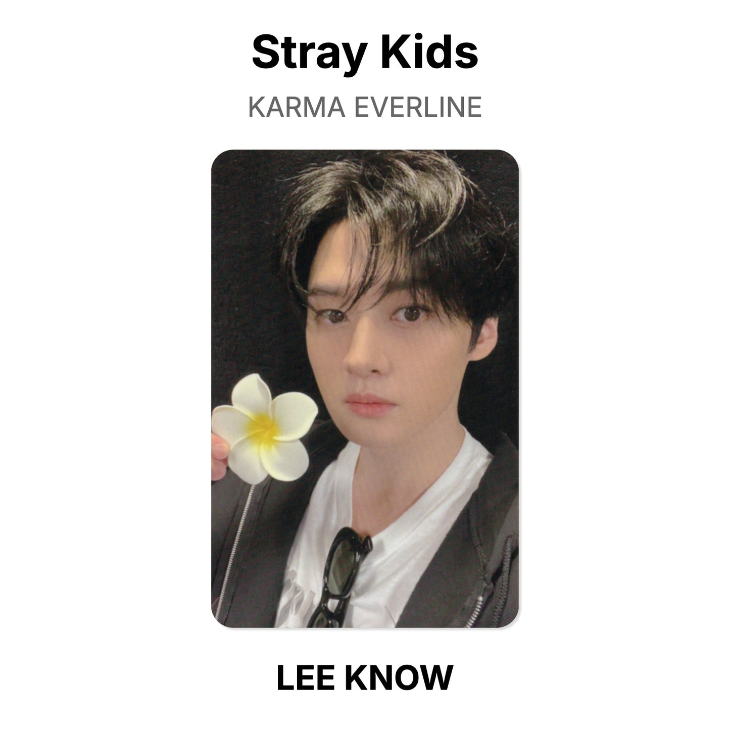 Stray Kids KARMA EVERLINE Offizielle Fotokarte