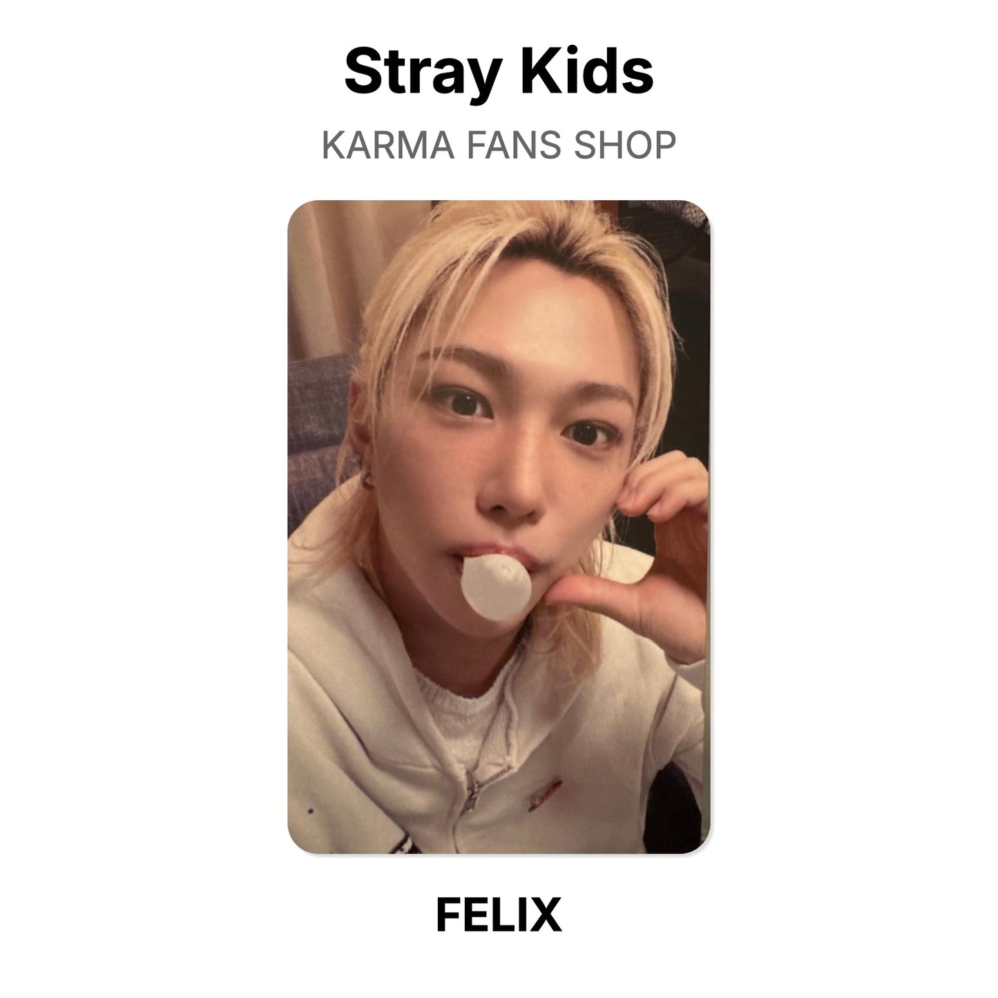 Stray Kids KARMA FANS SHOP โฟโต้การ์ดของแท้