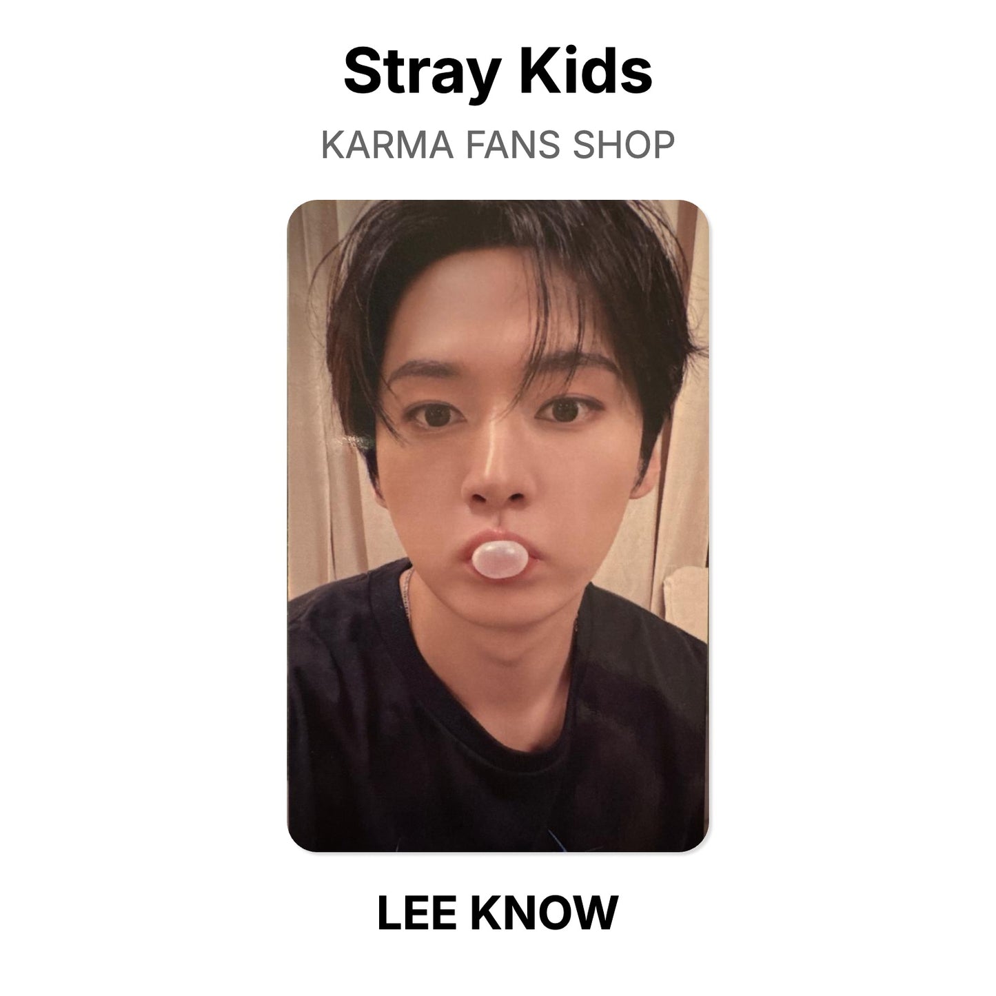 Stray Kids KARMA FANS SHOP โฟโต้การ์ดของแท้