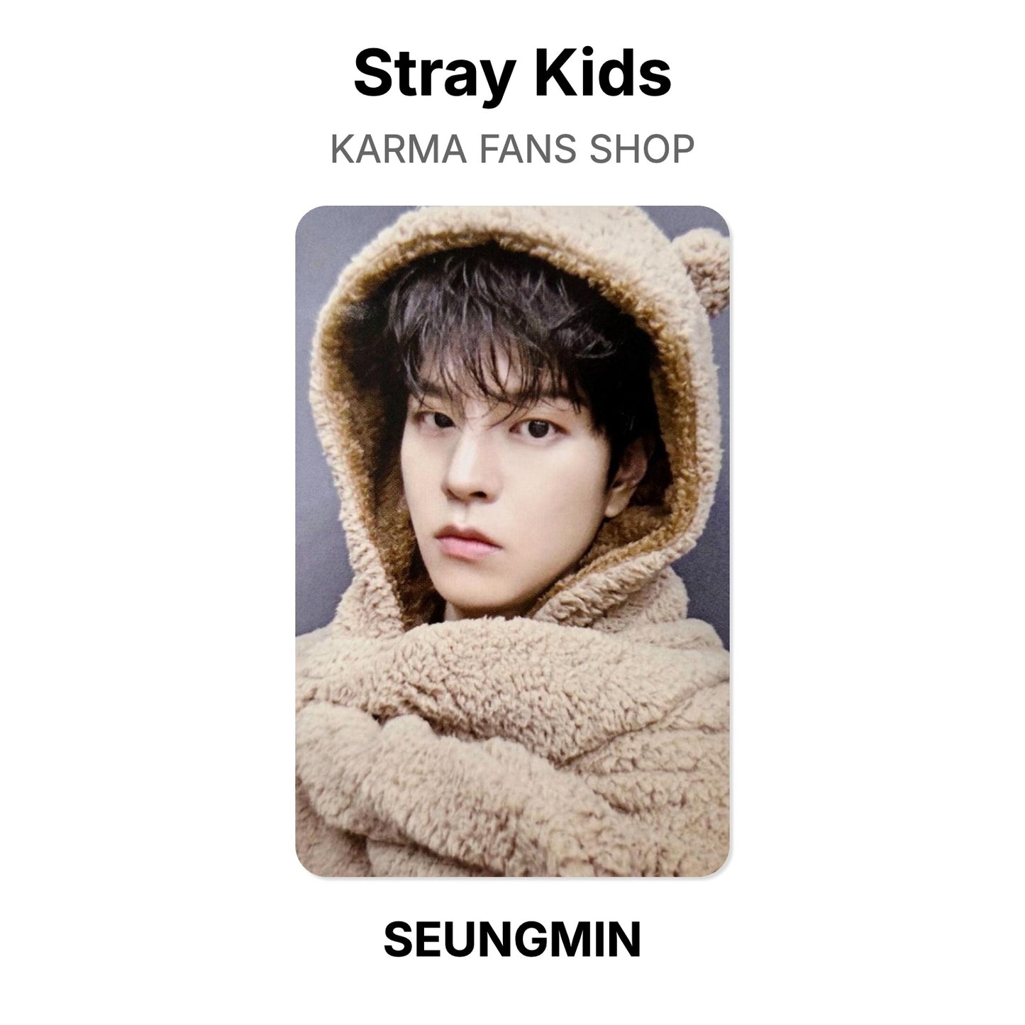 Stray Kids KARMA FANS SHOP โฟโต้การ์ดของแท้