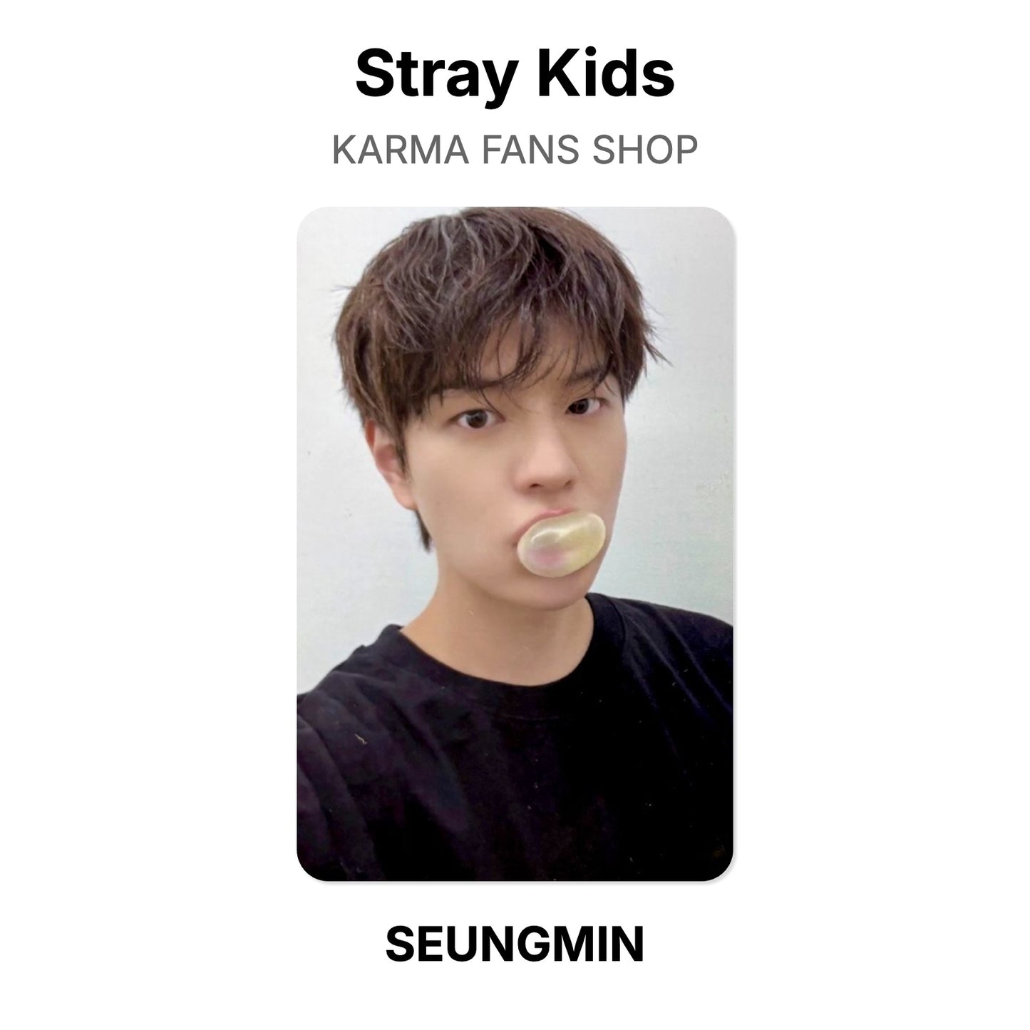 Stray Kids KARMA FANS SHOP โฟโต้การ์ดของแท้