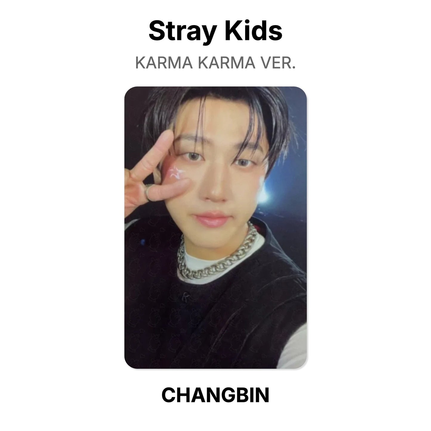 Stray Kids KARMA KARMA VER. Offizielle Photocard