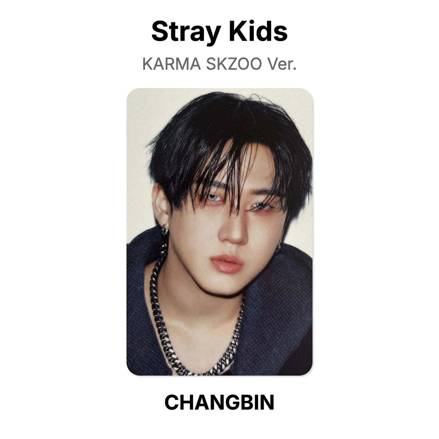 Stray Kids KARMA SKZOO Ver. Official Photocard