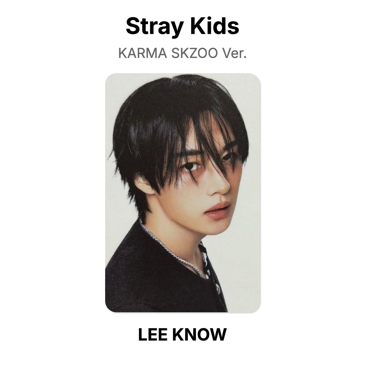 Stray Kids KARMA SKZOO Ver. Official Photocard
