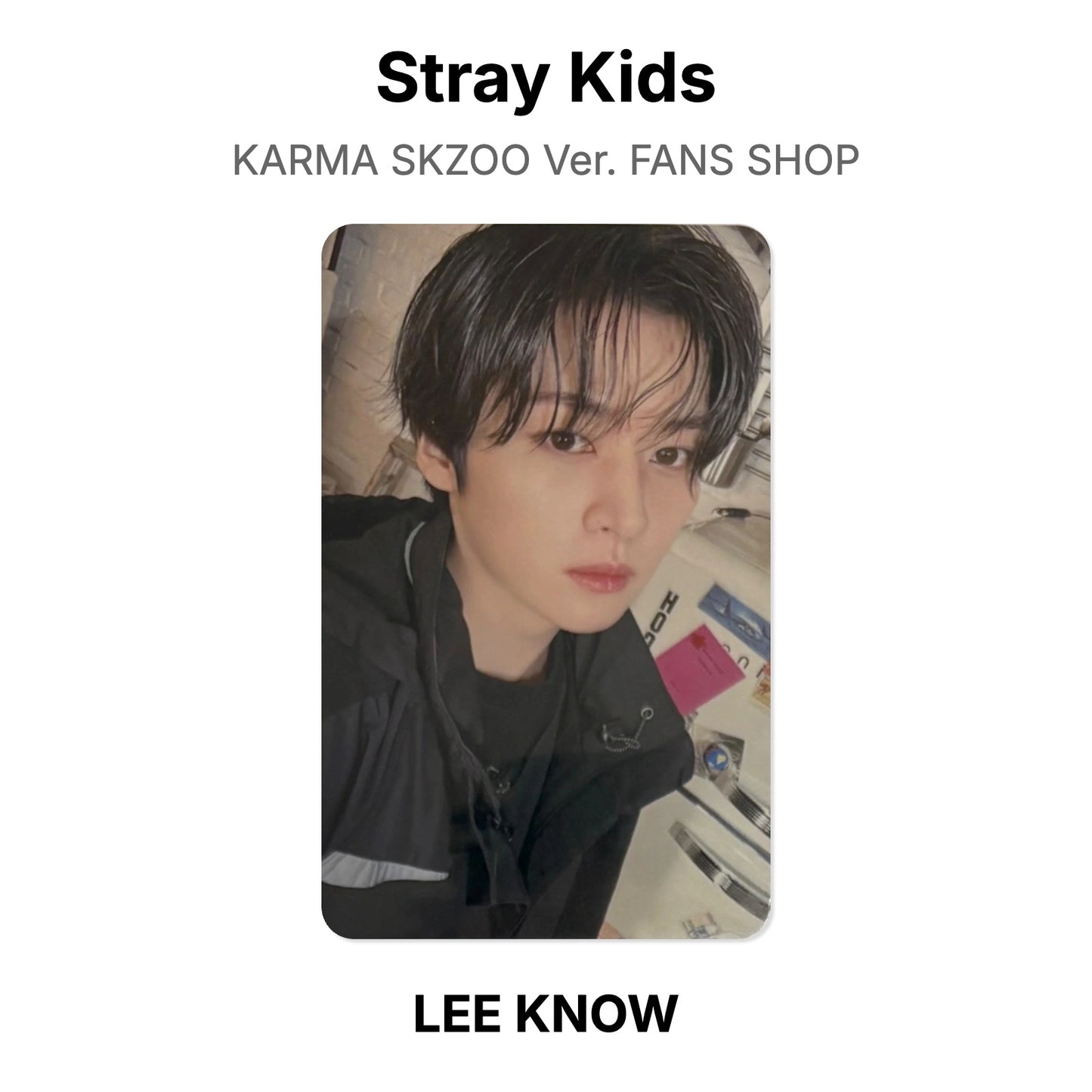 Stray Kids KARMA SKZOO Ver. FANS SHOP photocard officielle