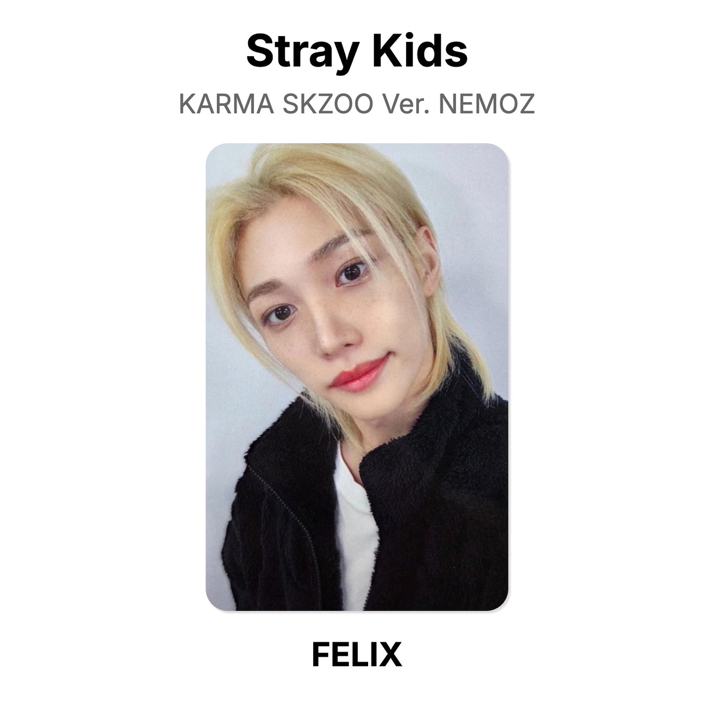Stray Kids KARMA SKZOO Ver. NEMOZ photocard oficial