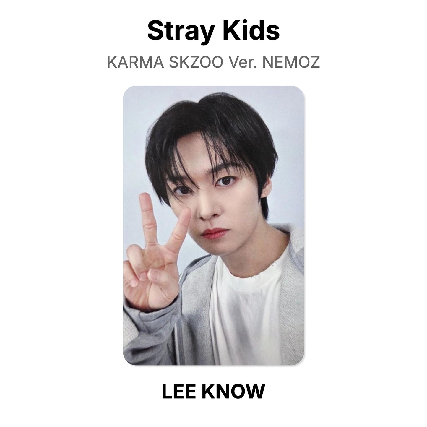 Stray Kids KARMA SKZOO Ver. NEMOZ photocard oficial