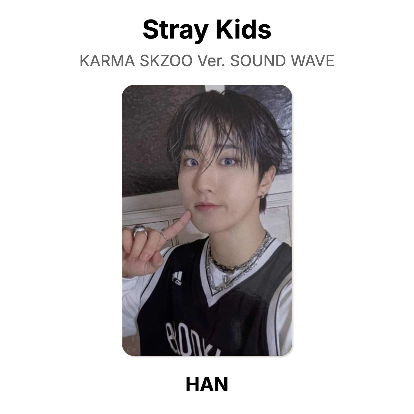Stray Kids KARMA SKZOO Ver. SOUND WAVE photocard oficial