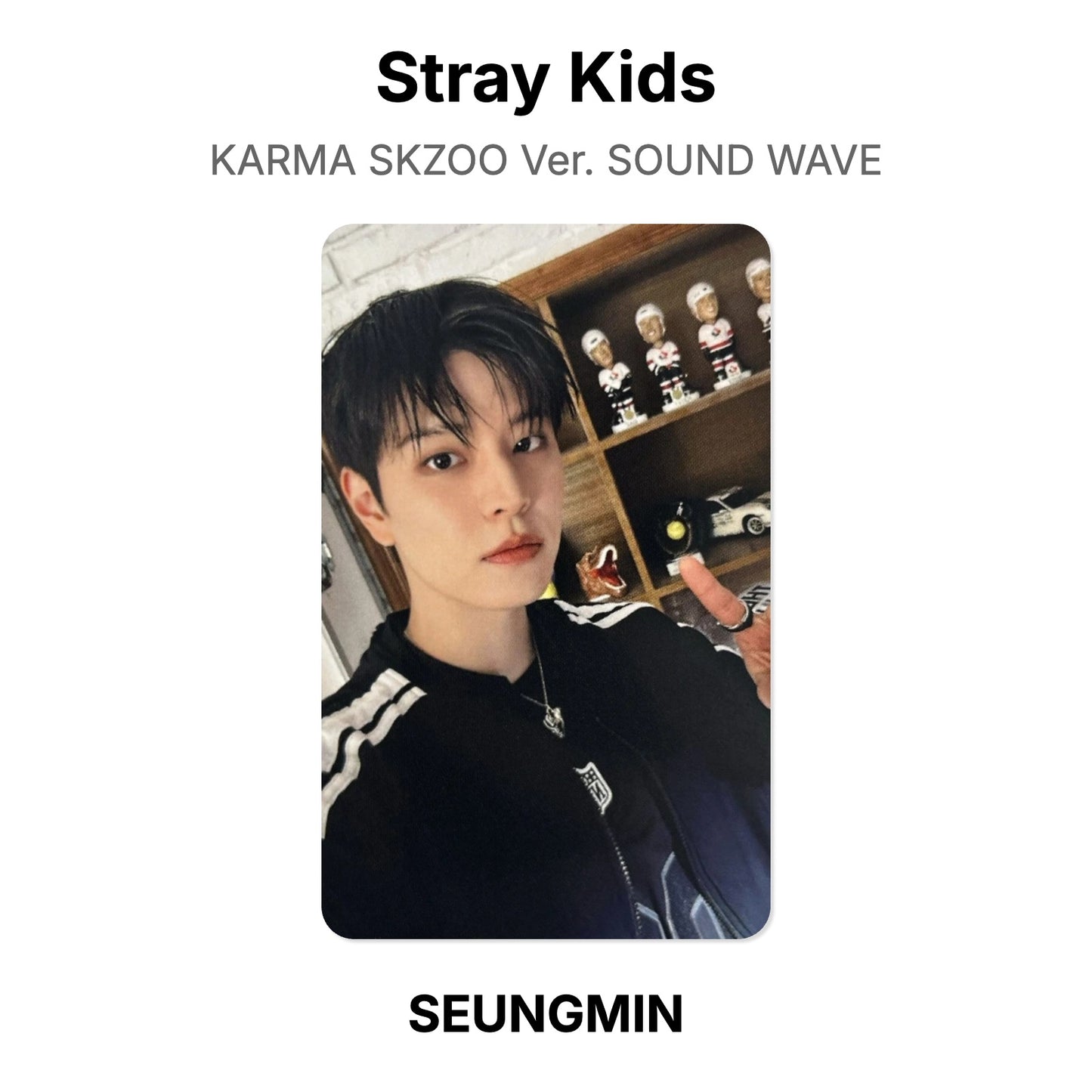 Stray Kids KARMA SKZOO Ver. SOUND WAVE photocard oficial