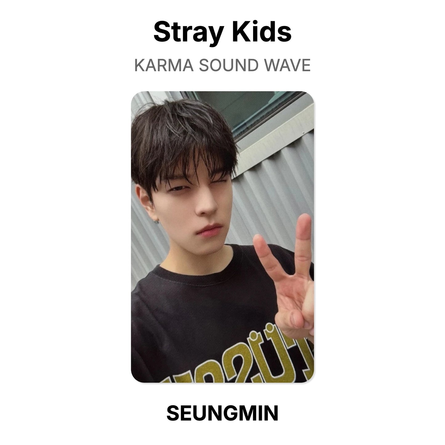 Stray Kids KARMA SOUND WAVE photocard oficial