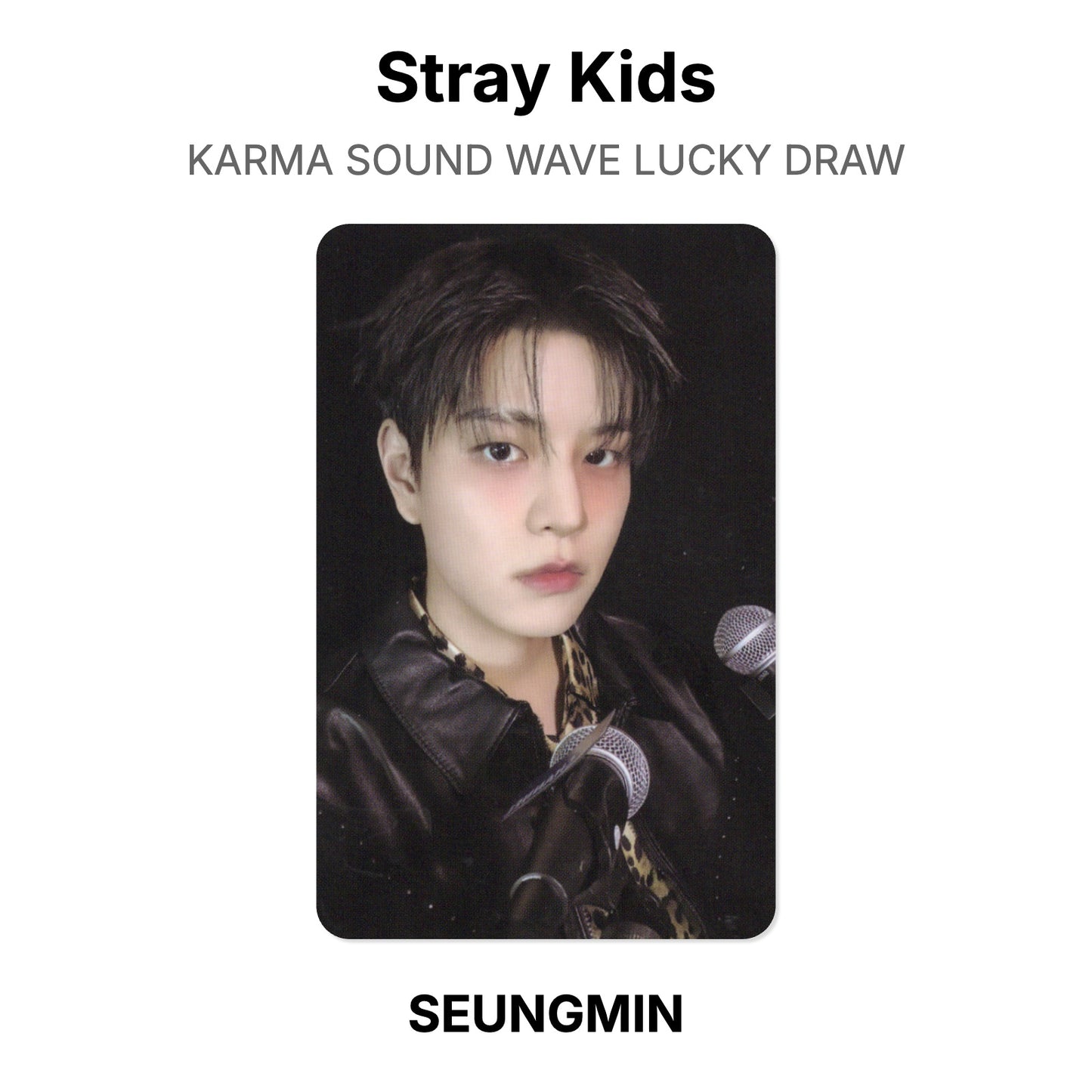 Stray Kids KARMA SOUND WAVE LUCKY DRAW Official Photocard