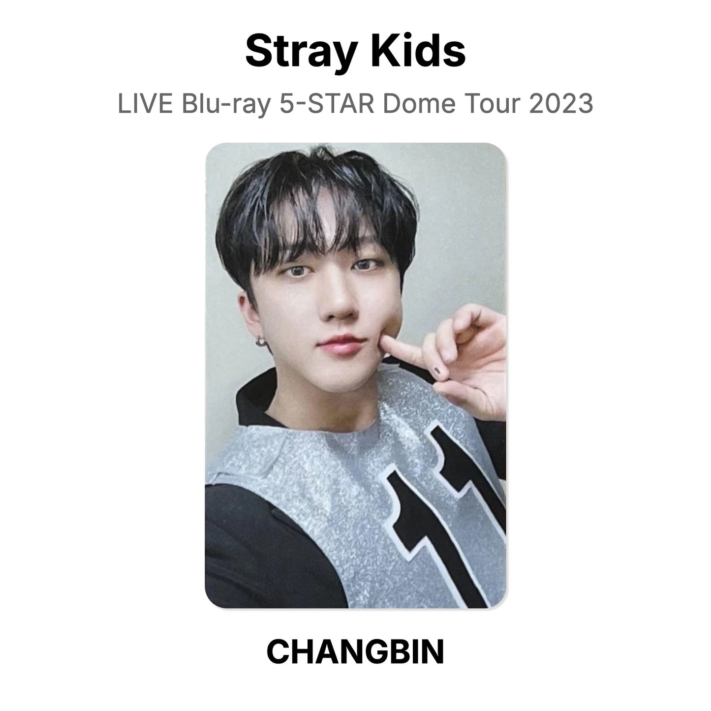 Stray Kids LIVE Blu-ray 5-STAR Dome Tour 2023 Official Photocard
