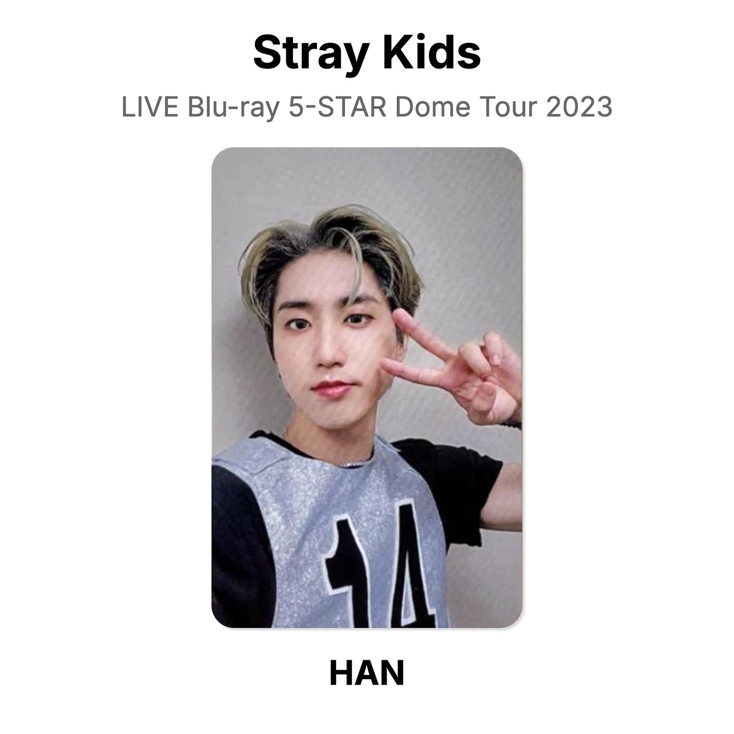 Stray Kids LIVE Blu-ray 5-STAR Dome Tour 2023 Official Photocard
