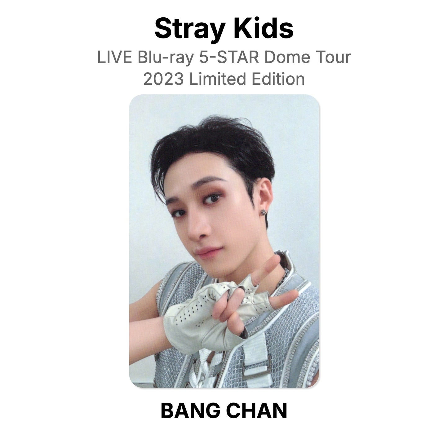 Stray Kids LIVE Blu-ray 5-STAR Dome Tour 2023 Limited Edition photocard oficial
