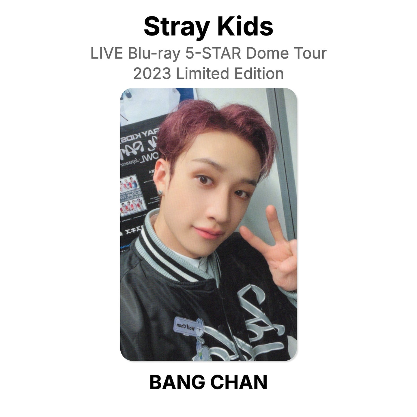 Stray Kids LIVE Blu-ray 5-STAR Dome Tour 2023 Limited Edition photocard oficial