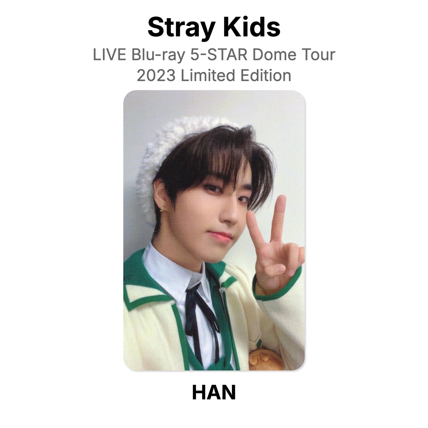 Stray Kids LIVE Blu-ray 5-STAR Dome Tour 2023 Limited Edition photocard oficial