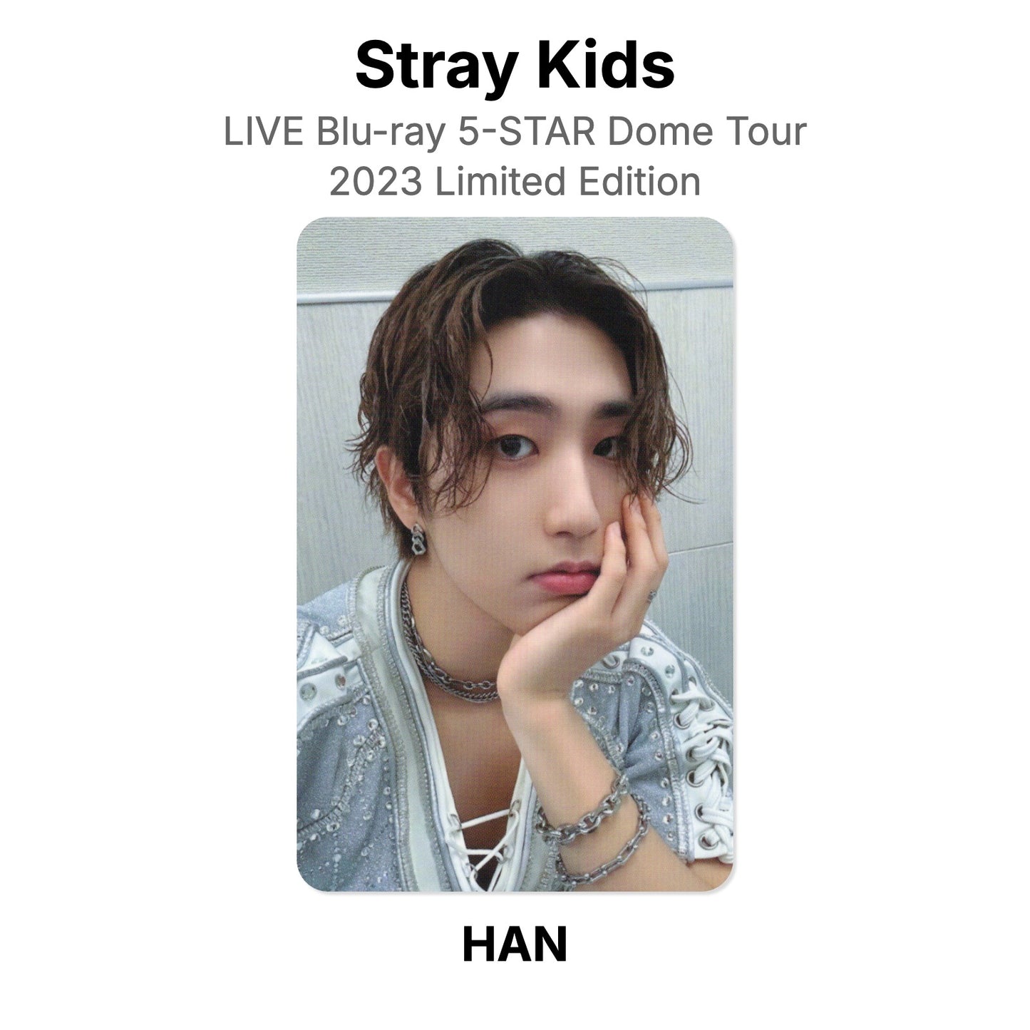 Stray Kids LIVE Blu-ray 5-STAR Dome Tour 2023 Limited Edition photocard oficial