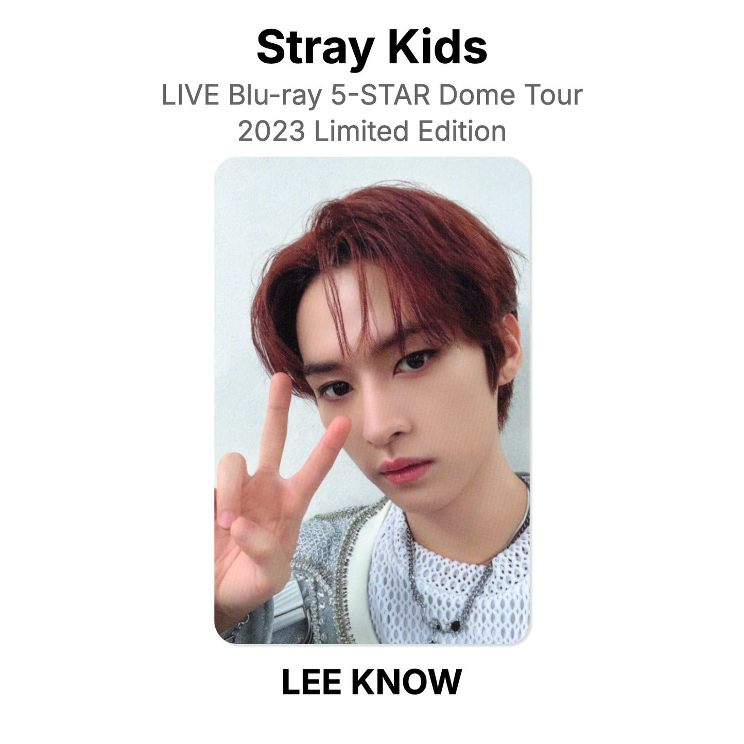 Stray Kids LIVE Blu-ray 5-STAR Dome Tour 2023 Limited Edition photocard oficial