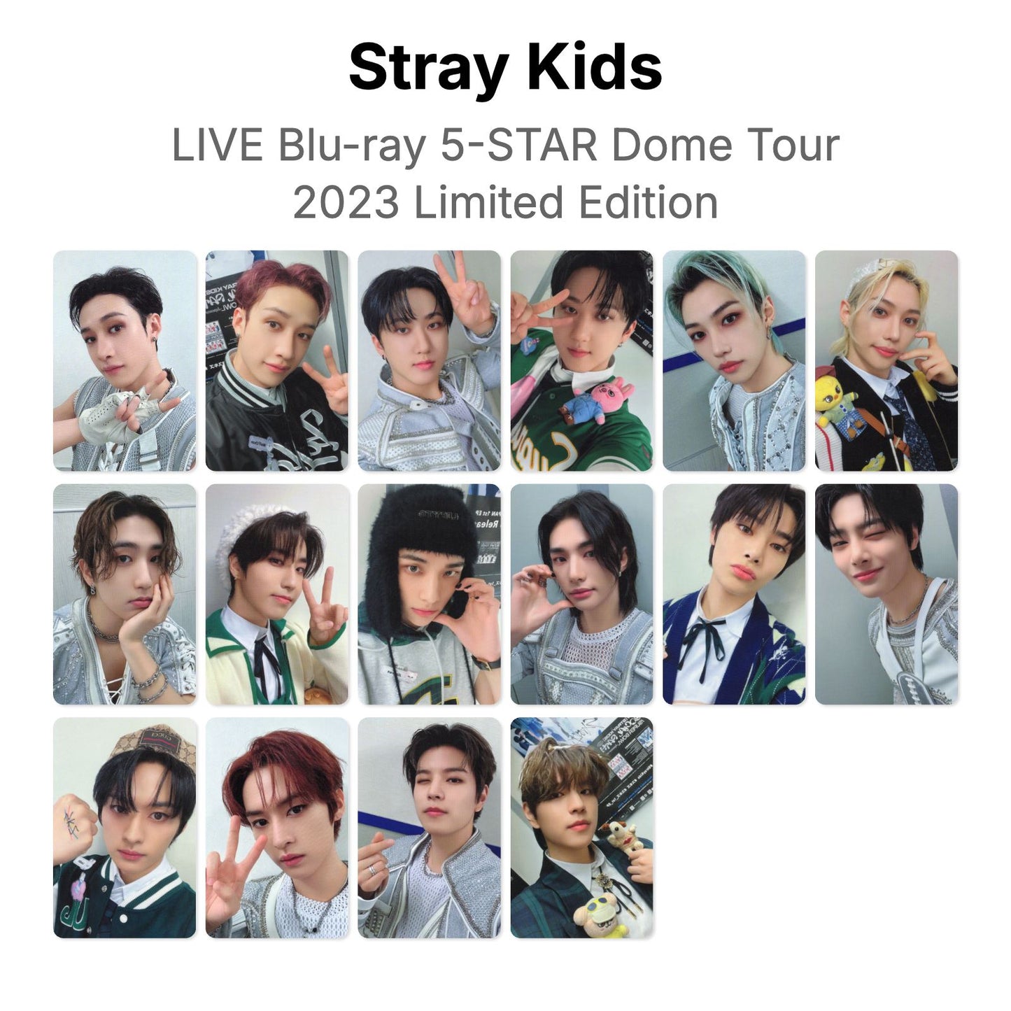 Stray Kids LIVE Blu-ray 5-STAR Dome Tour 2023 Limited Edition photocard oficial
