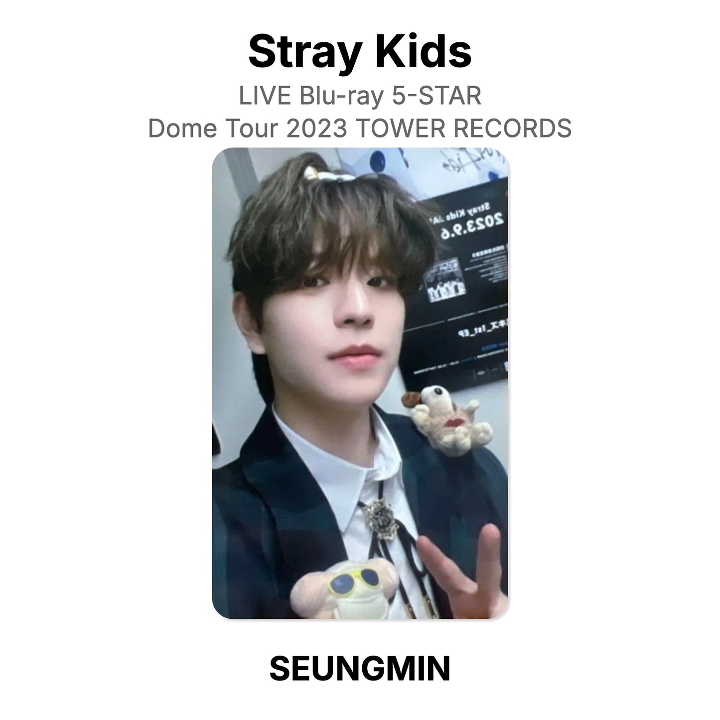 Stray Kids LIVE Blu-ray 5-STAR Dome Tour 2023 TOWER RECORDS Official Photocard