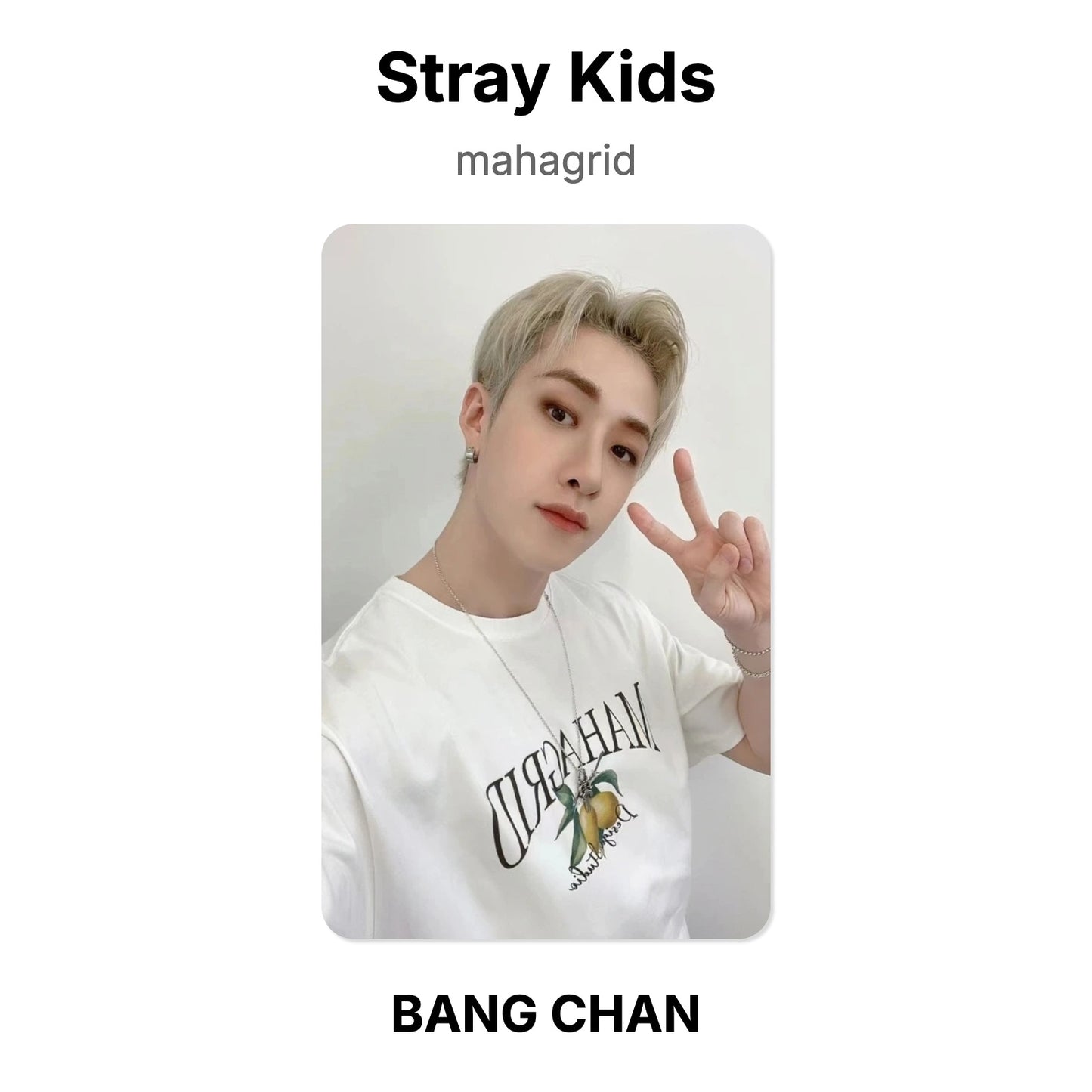 Stray Kids mahagrid photocard oficial