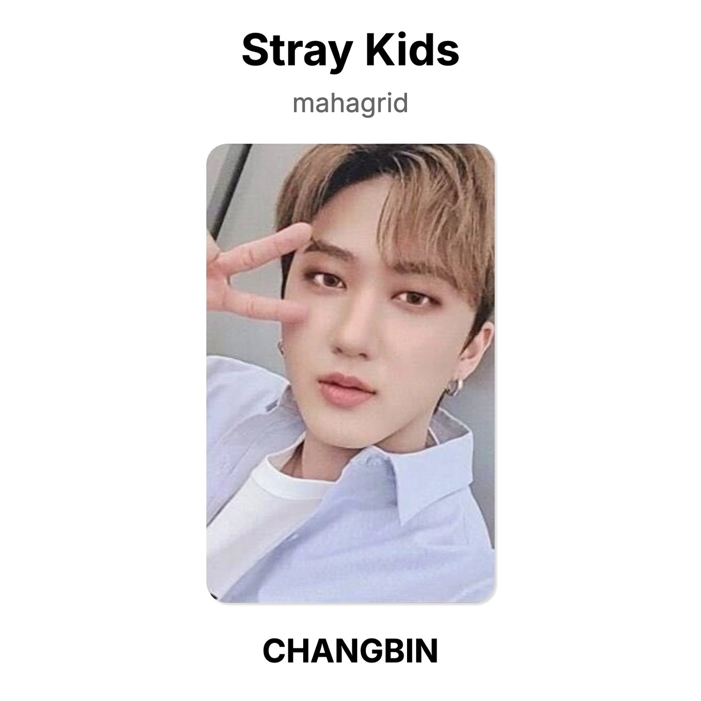 Stray Kids mahagrid photocard oficial