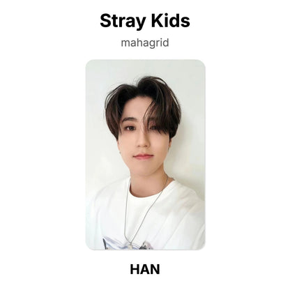 Stray Kids mahagrid photocard oficial